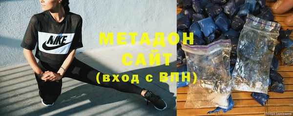 индика Арсеньев
