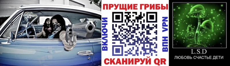 это наркотические препараты  Тайшет  Псилоцибиновые грибы ЛСД  hydra вход 