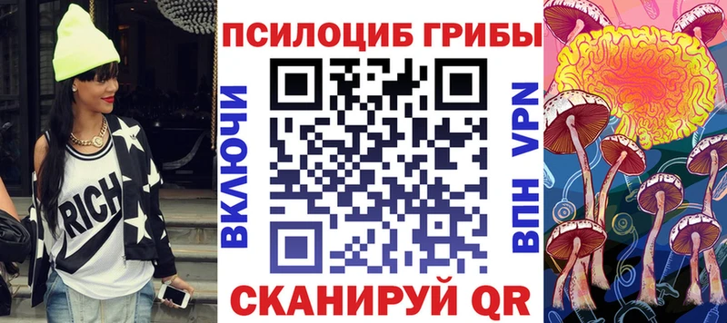 Галлюциногенные грибы Psilocybe Тайшет